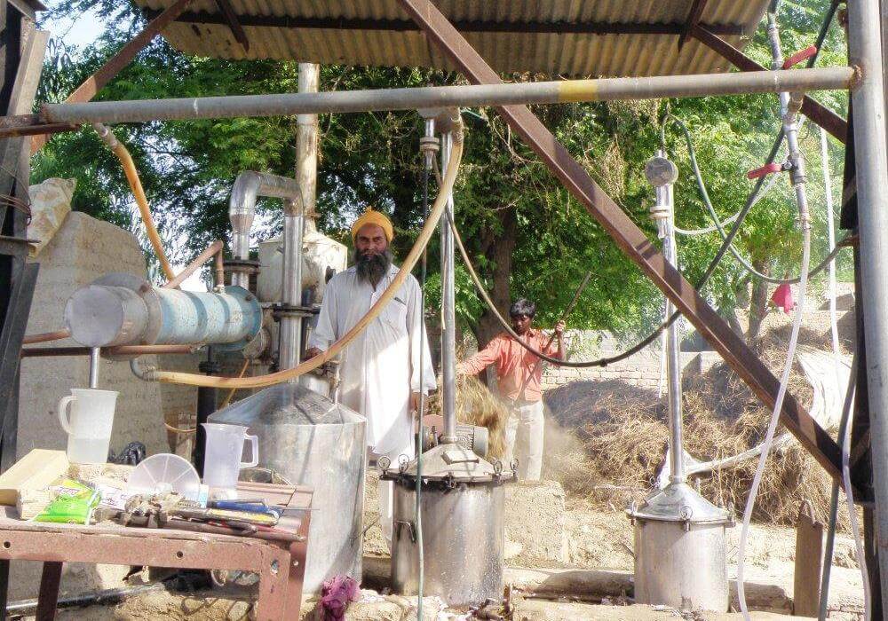 Индусы производят чистые эфирные масла